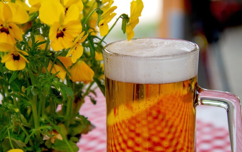 Artisanal Brew